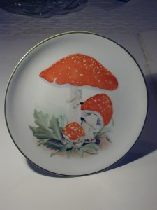 Funghi